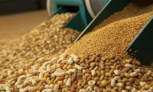 2024年豬飼料行業(yè)市場現(xiàn)狀、發(fā)展格局與原料銷售競爭趨勢展望